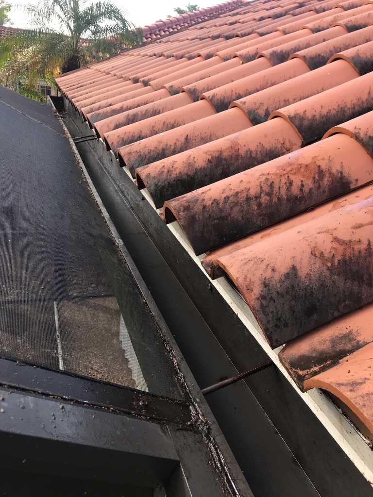 After gutter cleaning